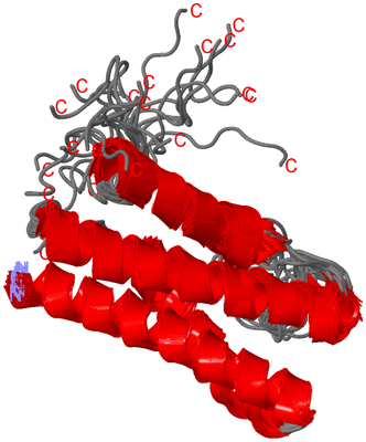 Image NMR Structure - all models