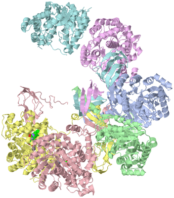 Image Asym./Biol. Unit