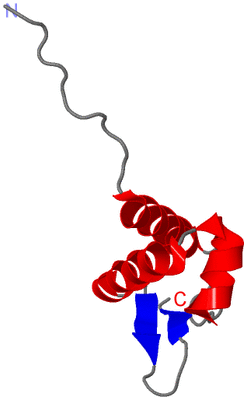 Image Asymmetric Unit