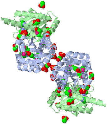 Image Biological Unit 2