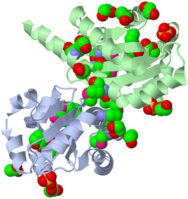 Image Asym./Biol. Unit