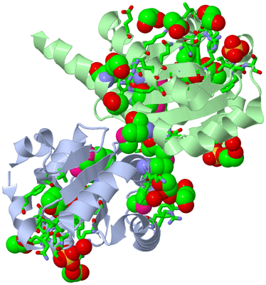 Image Asym./Biol. Unit - sites