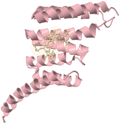 Image Biological Unit 3