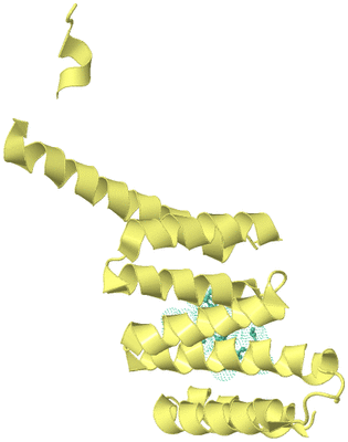 Image Biological Unit 4