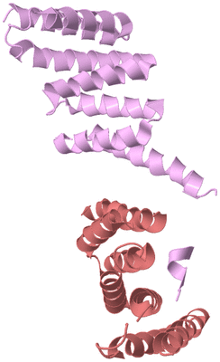 Image Biological Unit 5