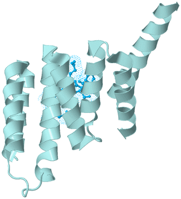 Image Biological Unit 6