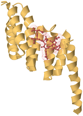 Image Biological Unit 7