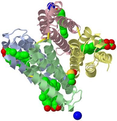 Image Asym./Biol. Unit