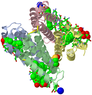 Image Asym./Biol. Unit - sites