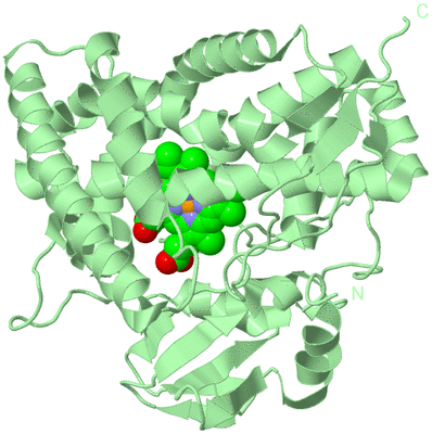 Image Biological Unit 2