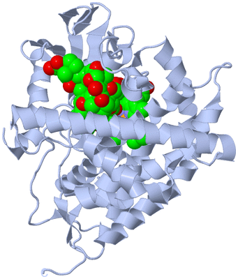 Image Biological Unit 1