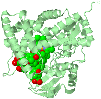 Image Biological Unit 2