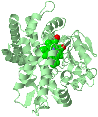 Image Biological Unit 2