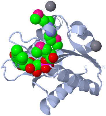 Image Biological Unit 1