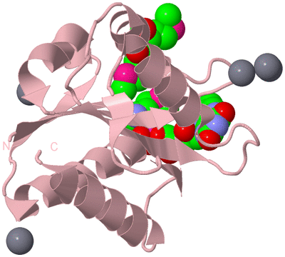 Image Biological Unit 2