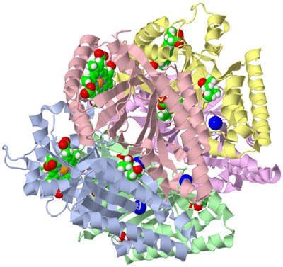 Image Asym./Biol. Unit