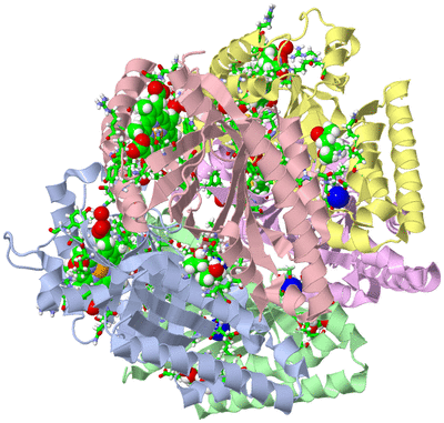 Image Asym./Biol. Unit - sites