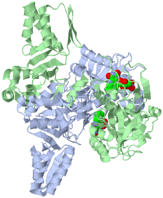 Image Asym./Biol. Unit