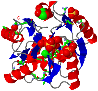 Image Asym./Biol. Unit - sites