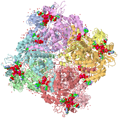 Image Asym./Biol. Unit