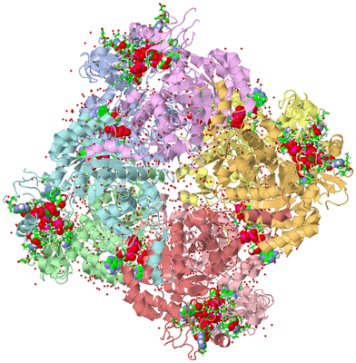 Image Asym./Biol. Unit - sites