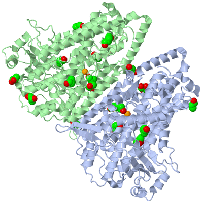 Image Asym./Biol. Unit