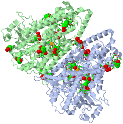 Image Asym./Biol. Unit - sites