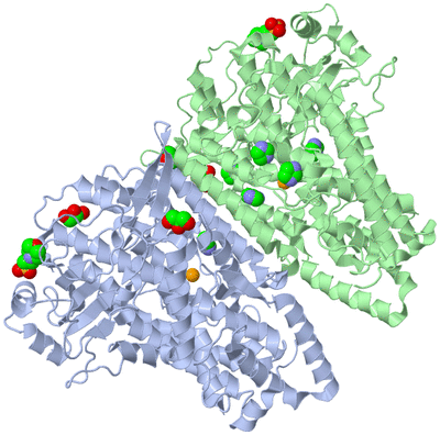 Image Asym./Biol. Unit