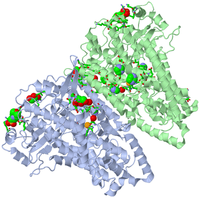 Image Asym./Biol. Unit - sites