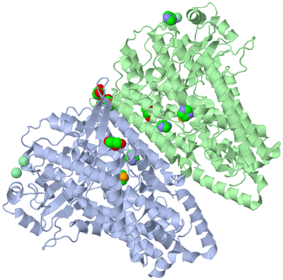 Image Asym./Biol. Unit