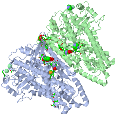 Image Asym./Biol. Unit - sites