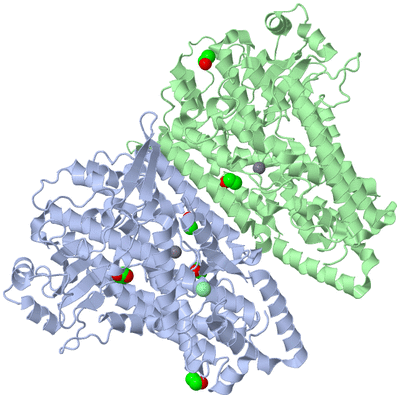 Image Asym./Biol. Unit