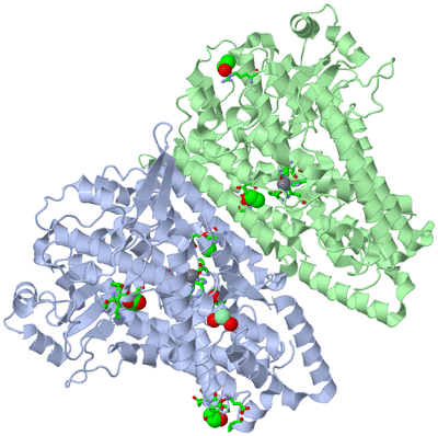 Image Asym./Biol. Unit - sites