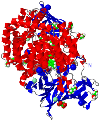 Image Asym./Biol. Unit