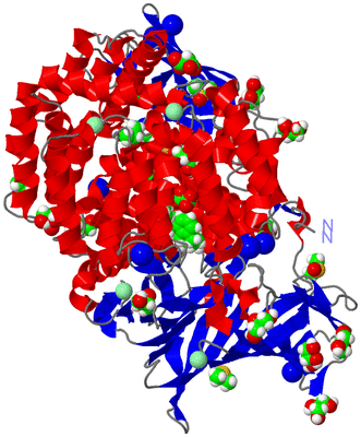 Image Asym./Biol. Unit