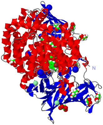 Image Asym./Biol. Unit