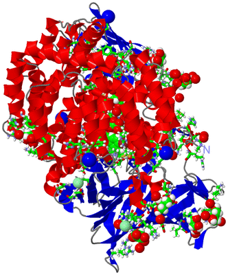 Image Asym./Biol. Unit - sites