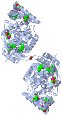 Image Biological Unit 1