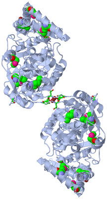 Image Biol. Unit 1 - sites