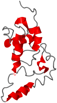 Image NMR Structure - model 1