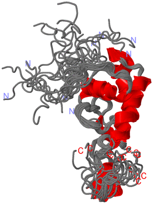 Image NMR Structure - all models