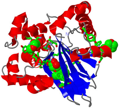 Image Asym./Biol. Unit - sites