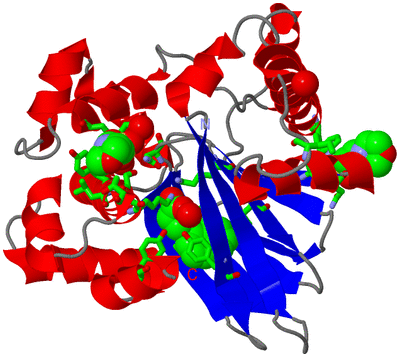 Image Asym./Biol. Unit - sites