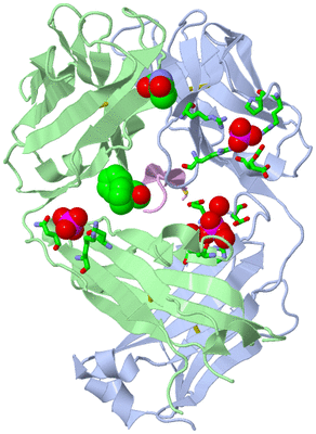 Image Biol. Unit 1 - sites