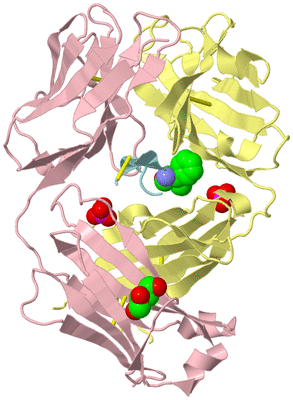 Image Biological Unit 2