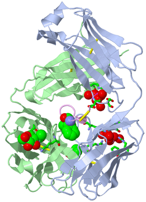 Image Biol. Unit 1 - sites