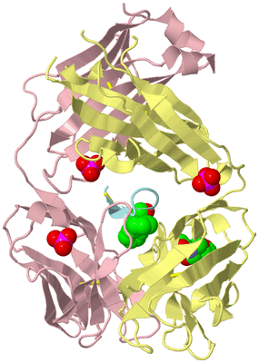 Image Biological Unit 2