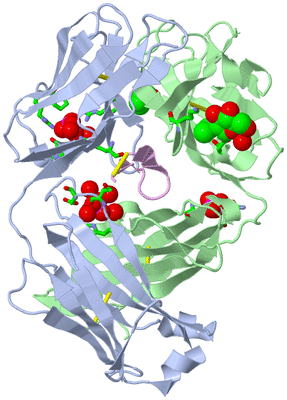 Image Biol. Unit 1 - sites