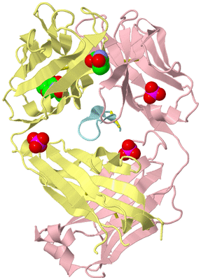 Image Biological Unit 2