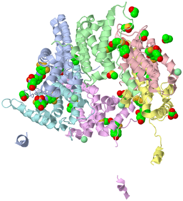 Image Asym./Biol. Unit